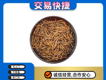 潍坊市回收散虫草