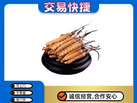 潍坊市礼品回收散虫草.jpg